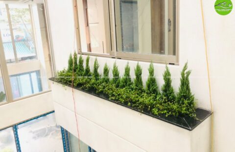 Gia Thinh Hưng – BT cô Châu – Nguyễn Viết Xuân – 9