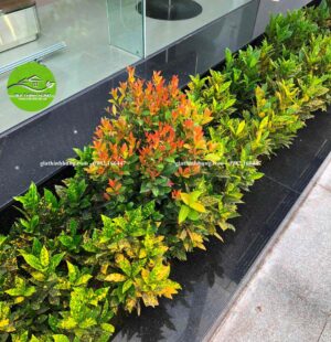 Gia Thinh Hung-Showroom Tiến Thu Phạm Hùng Đà Nẵng 13