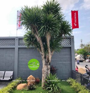 Gia Thinh Hung-Showroom Tiến Thu Phạm Hùng Đà Nẵng 8