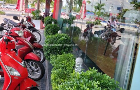 Gia Thịnh Hưng – Tiến Thu 1 – Ngũ Hành Sơn – 2