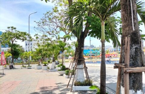 Gia Thịnh Hưng – Tiến Thu 1 – Ngũ Hành Sơn – 3