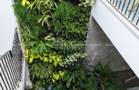 Gia Thịnh Hưng – VP Seadev – An Thượng 33 – 5