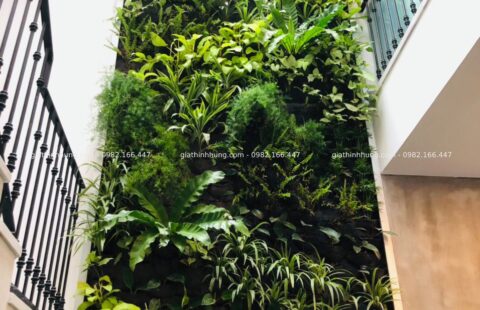 Gia Thịnh Hưng – VP Seadev – An Thượng 33 – 8