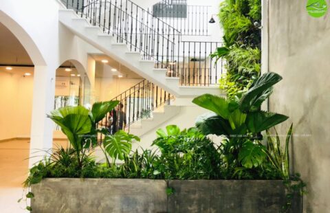 Gia Thịnh Hưng – VP Seadev – An Thượng 33 – 9