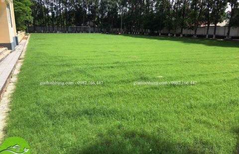 Sân cỏ đại chủng viện (1) – Copy