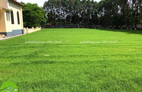Sân cỏ đại chủng viện (6)