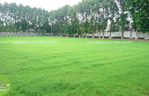 Sân cỏ đại chủng viện (7)