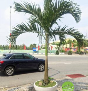 Showroom Tiến Thu 1 Địa chỉ: 215 Ngũ Hành Sơn – TP Đà Nẵng