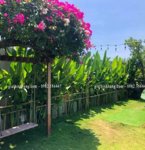 Biệt thực c Phùng Anh, Đảo Nổi, Đà Nẵng