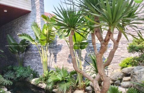 GTH Garden – Căn hộ anh Trà – KĐT FPT (2)