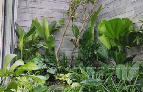 Gia Thịnh Hưng – BT anh Trà – KĐT FPT – 16
