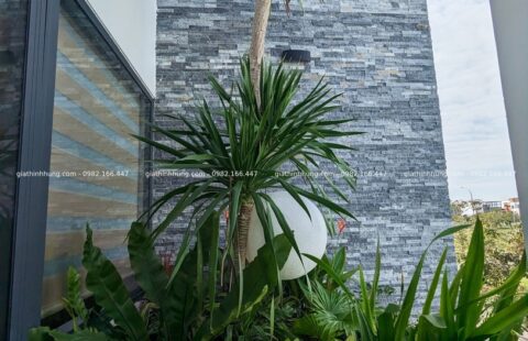 Gia Thịnh Hưng – BT anh Trà – KĐT FPT – 4