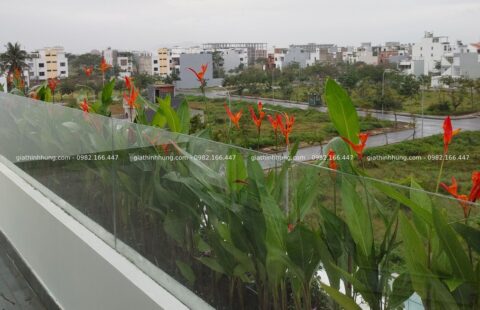 Gia Thịnh Hưng – BT anh Trà – KĐT FPT – 6