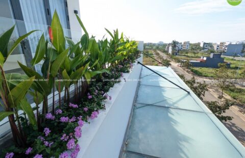 Gia Thịnh Hưng – BT anh Trà – KĐT FPT – 9