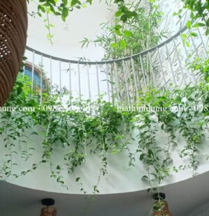 Gia Thịnh Hưng Văn phòng Anh Thái – TP Đà Nẵng 5