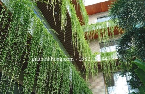 Tư gia anh Nam (7)