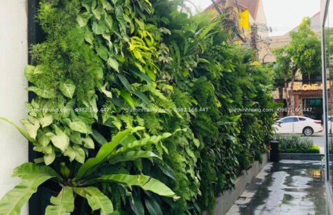 GTH Garden – Bay Capital Hotel – 17 Quang Trung (11)