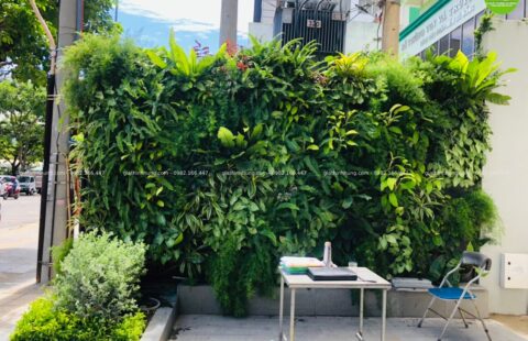 GTH Garden – Bay Capital Hotel – 17 Quang Trung (13)