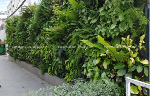 GTH Garden – Bay Capital Hotel – 17 Quang Trung (17)