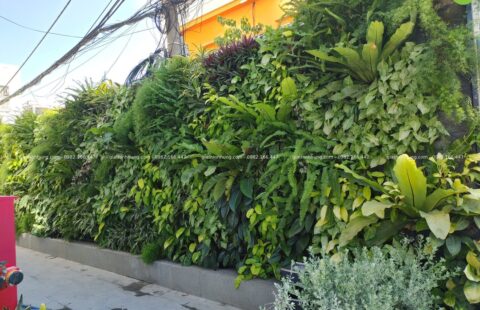 GTH Garden – Bay Capital Hotel – 17 Quang Trung (18)