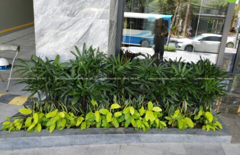 GTH Garden – Bay Capital Hotel – 17 Quang Trung (19)