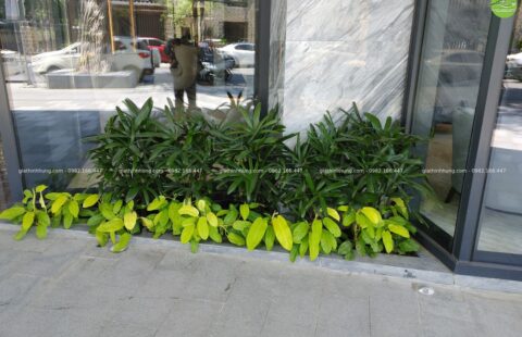 GTH Garden – Bay Capital Hotel – 17 Quang Trung (20)