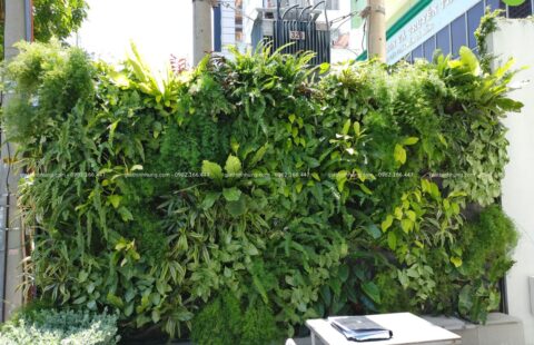 GTH Garden – Bay Capital Hotel – 17 Quang Trung (23)