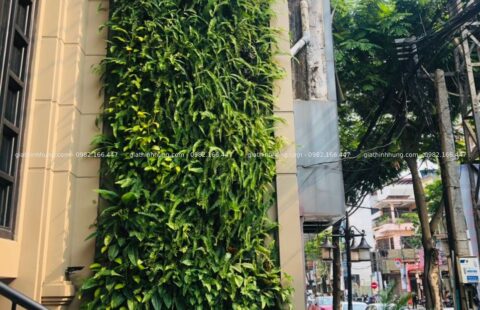 GTH Garden – Ks Sanouva – Phan Châu Trinh (1)