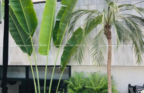 GTH Garden – Ks Sanouva – Phan Châu Trinh (4)