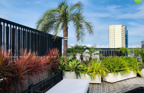 GTH Garden – Ks Sanouva – Phan Châu Trinh (8)