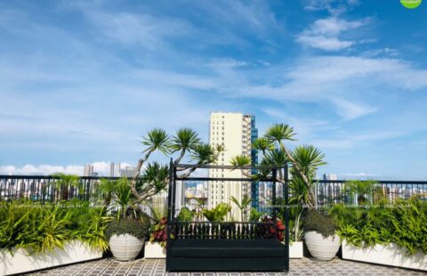 GTH Garden – Ks Sanouva – Phan Châu Trinh (9)