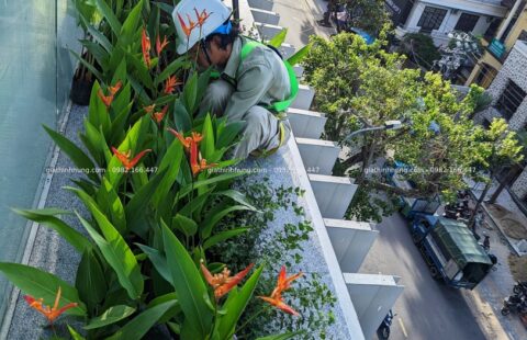 Gia Thịnh Hưng – KS Regis Bay – 1