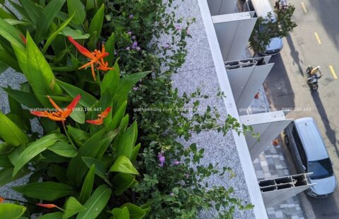 Gia Thịnh Hưng – KS Regis Bay – 16