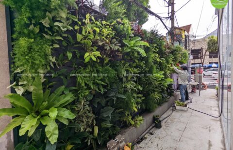 Gia Thịnh Hưng – KS Regis Bay – 3