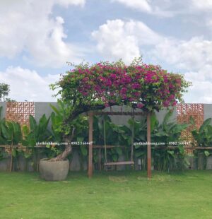 Gia Thinh Hung-Biệt thự c Phùng Anh, Đảo Nổi, Đà Nẵng 20