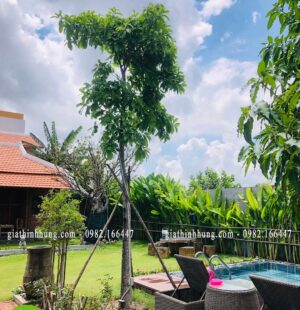 Gia Thinh Hung-Biệt thự c Phùng Anh, Đảo Nổi, Đà Nẵng 23