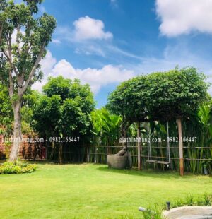 Gia Thinh Hung-Biệt thự c Phùng Anh, Đảo Nổi, Đà Nẵng 29