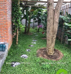 Gia Thinh Hung-Biệt thự c Phùng Anh, Đảo Nổi, Đà Nẵng 3