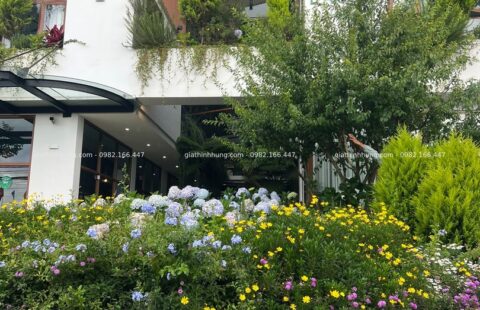 GTH Garden – KS Lasol Boutique – Đà Lạt (16)