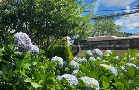 GTH Garden – KS Lasol Boutique – Đà Lạt (18)