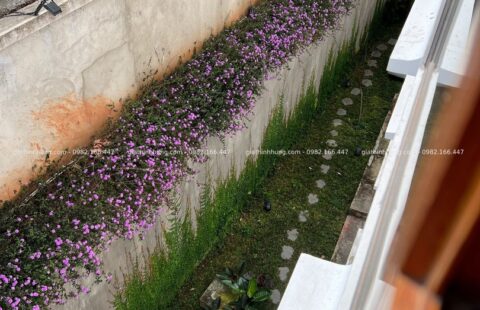 GTH Garden – KS Lasol Boutique – Đà Lạt (9)