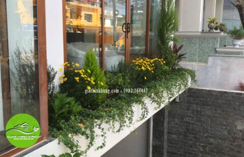 Gia Thịnh Hưng – KS Lasol Boutique – Đà Lạt – 20