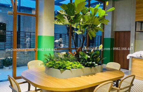 Gia Thịnh Hưng – KS Lasol Boutique – Đà Lạt – 45