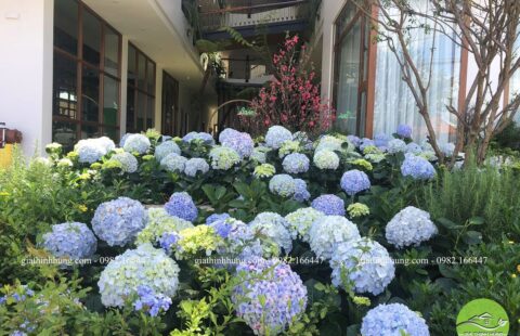 Gia Thịnh Hưng – KS Lasol Boutique – Đà Lạt – 57