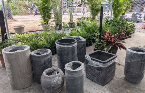 Gia Thịnh Hưng – Cửa hàng – Dương Sơn – Hòa Châu (15)