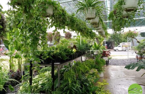 Gia Thịnh Hưng – Cửa hàng – Dương Sơn – Hòa Châu (5)
