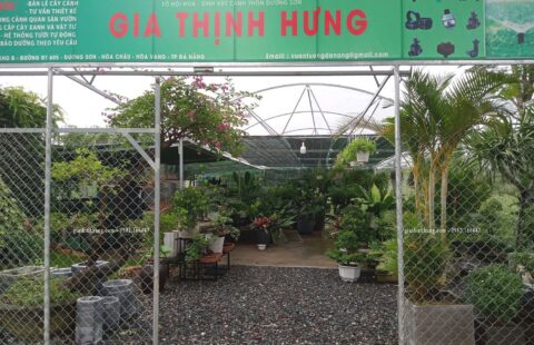 Gia Thịnh Hưng – Cửa hàng – Dương Sơn – Hòa Châu (7)