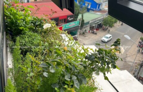 GTH Garden – KS Banla – Đà Lạt (15)