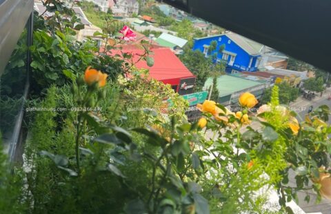 GTH Garden – KS Banla – Đà Lạt (18)