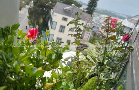 GTH Garden – KS Banla – Đà Lạt (22)